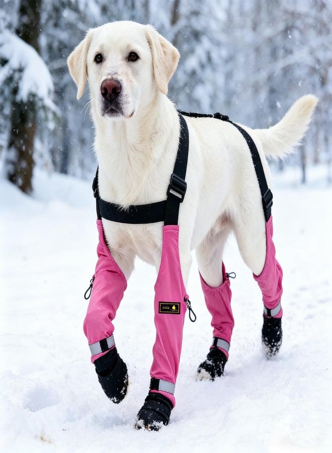 yucca Rubber Dog Boots for Paws, Easy-On Pet Suspender Boot Leggings, Anti Slip Dog Socks, Reusable Waterproof Dogs Booties, Protect Paws from Rain, Snow, Slush, and Snow Melt - Image 1