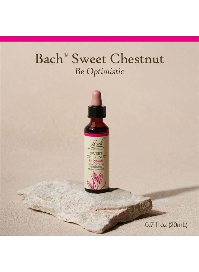 Bach Original Flower Remedies, Sweet Chestnut for Optimism, Natural Homeopathic Flower Essence, Holistic Wellness and Stress Relief, Vegan, 20mL Dropper - Image 2