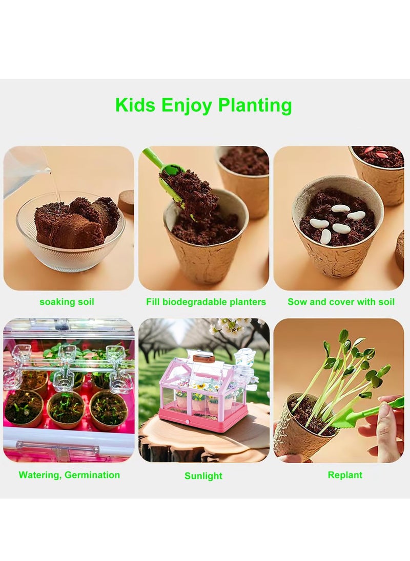 SYOSI Terrarium Kit for Kids, Plant Growing Kit with Greenhouse, Educational DIY Plant Gardening Toy, Kids Science Set with Solar Panel, Indoor Gardening Kit, Fun and Educational for Children  - Image 2