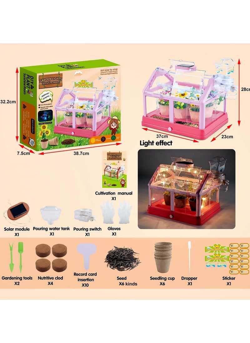 SYOSI Terrarium Kit for Kids, Plant Growing Kit with Greenhouse, Educational DIY Plant Gardening Toy, Kids Science Set with Solar Panel, Indoor Gardening Kit, Fun and Educational for Children  - Image 3