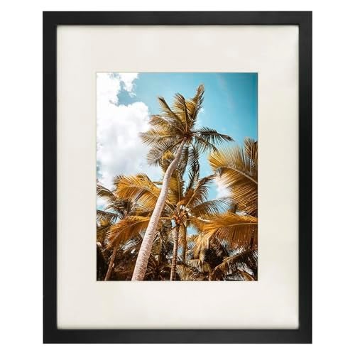 Frametory 16x20 Black Picture Frame  Display Pictures 11x14 Photo with Mat  Wide Molding 16x20 Black