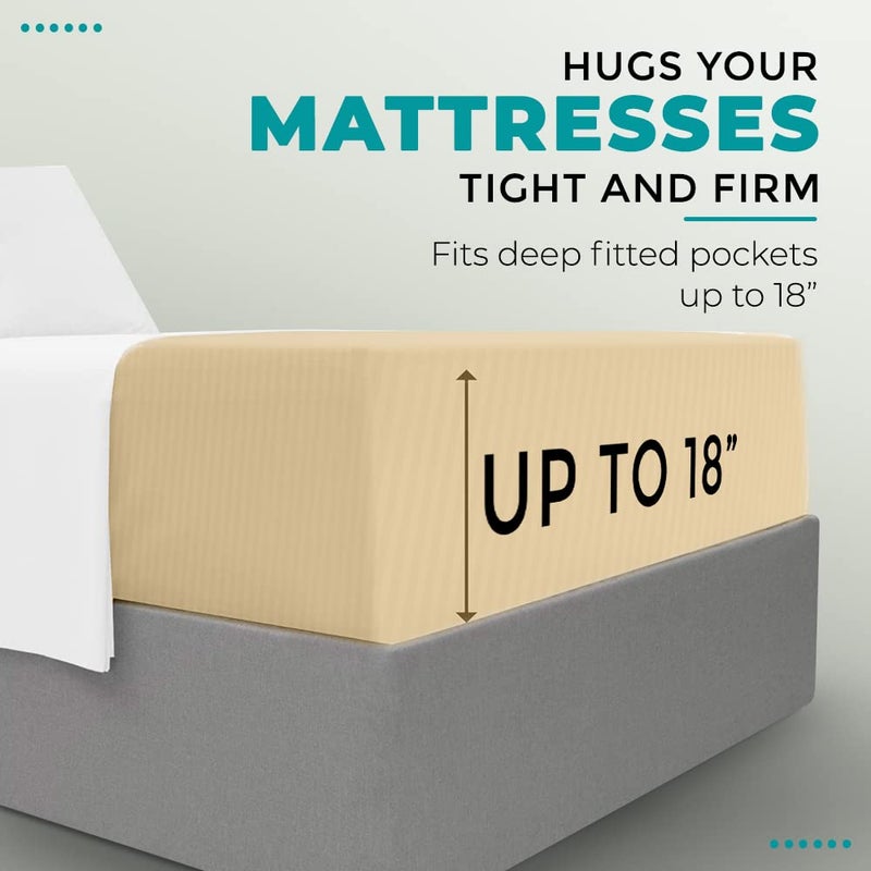 FEATHER & STITCH NEW Feather & Stitch 100% Cotton 1 Piece Damask Stripe King Fitted Sheet 500 Thread Count Semolina 18"" Extra Deep Pocket Luxury Sateen Weave Stretchable Boxer Elastic Fits Mattress Perfectly  - Image 4