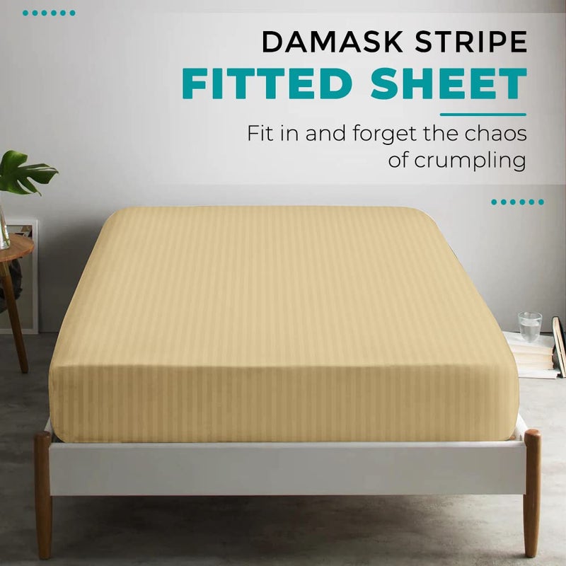 FEATHER & STITCH NEW Feather & Stitch 100% Cotton 1 Piece Damask Stripe King Fitted Sheet 500 Thread Count Semolina 18"" Extra Deep Pocket Luxury Sateen Weave Stretchable Boxer Elastic Fits Mattress Perfectly  - Image 5