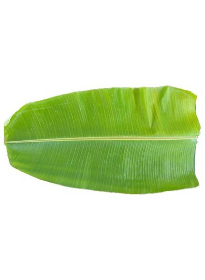 Banana leaf, Aprox Size - 20 x 40cm, India