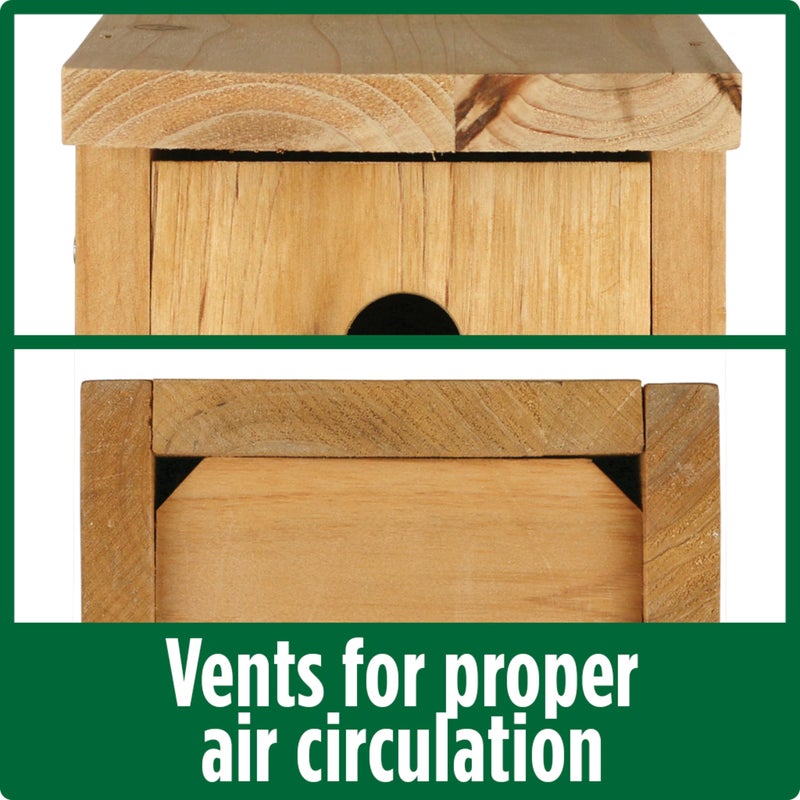 Wild Wings Nature's Way Cedar Box Wren House with Clean-Out Door, Wild Bird House and Outdoor DÃ©cor, Brown - Image 4