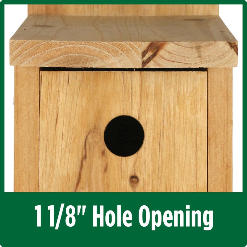 Wild Wings Nature's Way Cedar Box Wren House with Clean-Out Door, Wild Bird House and Outdoor DÃ©cor, Brown - Image 2