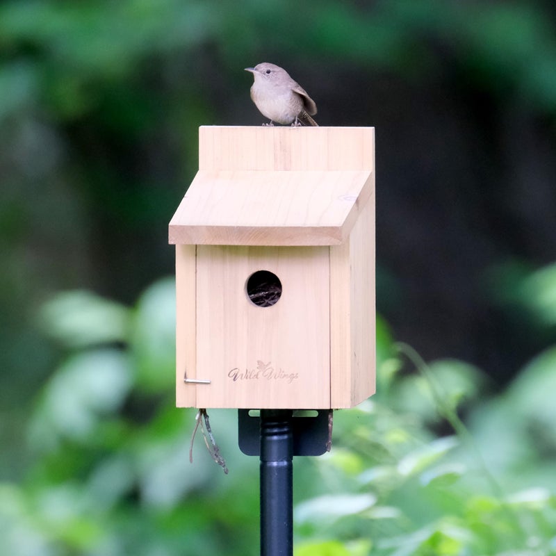 Wild Wings Nature's Way Cedar Box Wren House with Clean-Out Door, Wild Bird House and Outdoor DÃ©cor, Brown - Image 5