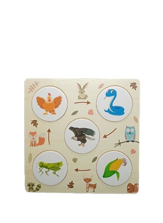 مجموعة ألواح الضرب والسلسلة الغذائية الخشبية | لعبة تعليمية للأطفال من سن 6 سنوات فما فوق | أداة مثالية للمفكرين البصريين | ألواح ممتعة (مجموعة الرياضيات والعلوم 2 (الضرب والسلسلة الغذائية)) - Image 3