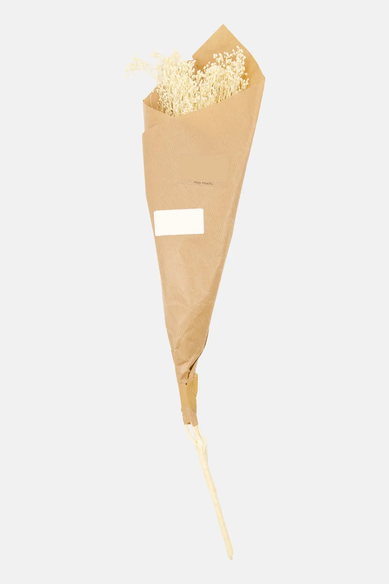 Muy Mucho 1 Pack Dried Flowers 50 H cm, White