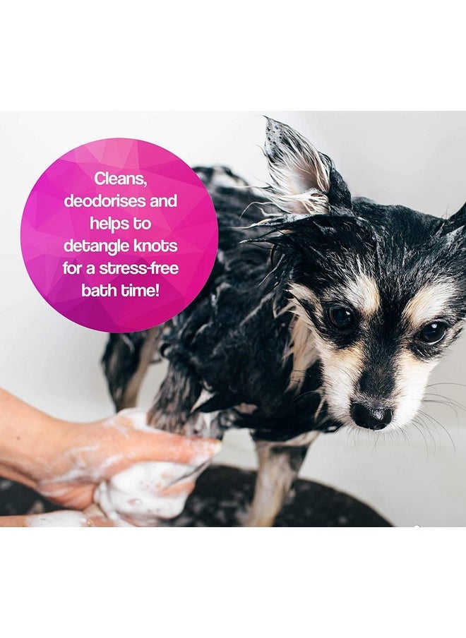 PET Oh My Dog Ultimate Oatmeal and Itch Relief Dog Shampoo-1000 ml with Cream Conditioner  - Image 4