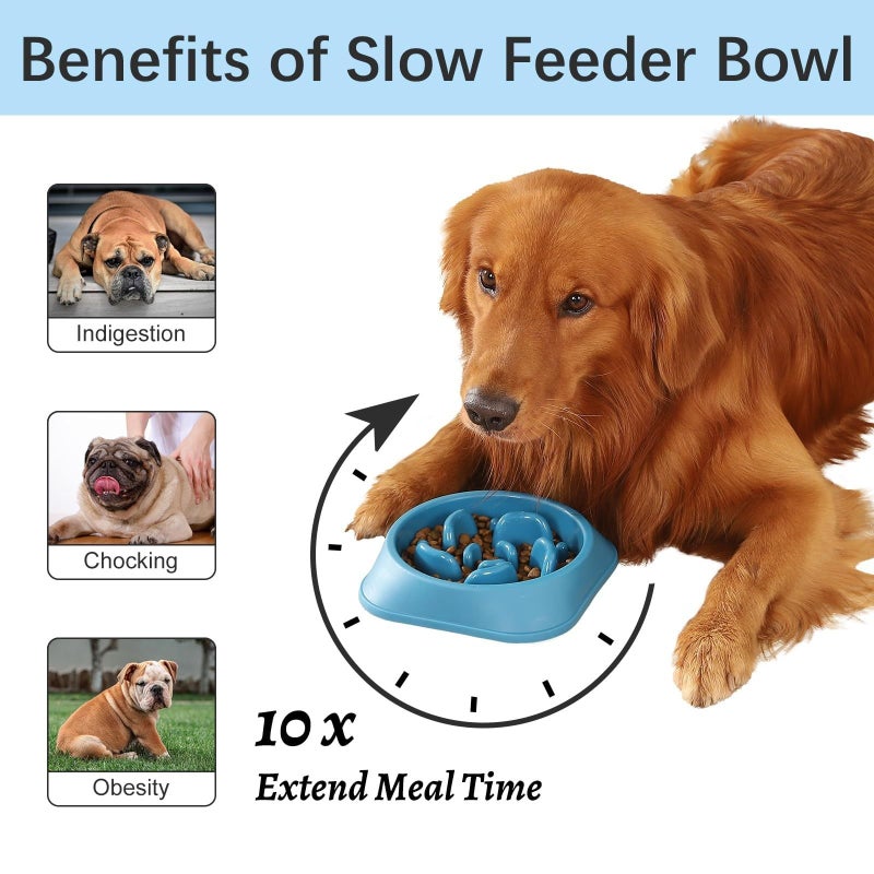 Dark Blue Slow Eating Bowl Maze Non Slip Anti Choking For Dogs Cats Puppies - Image 5