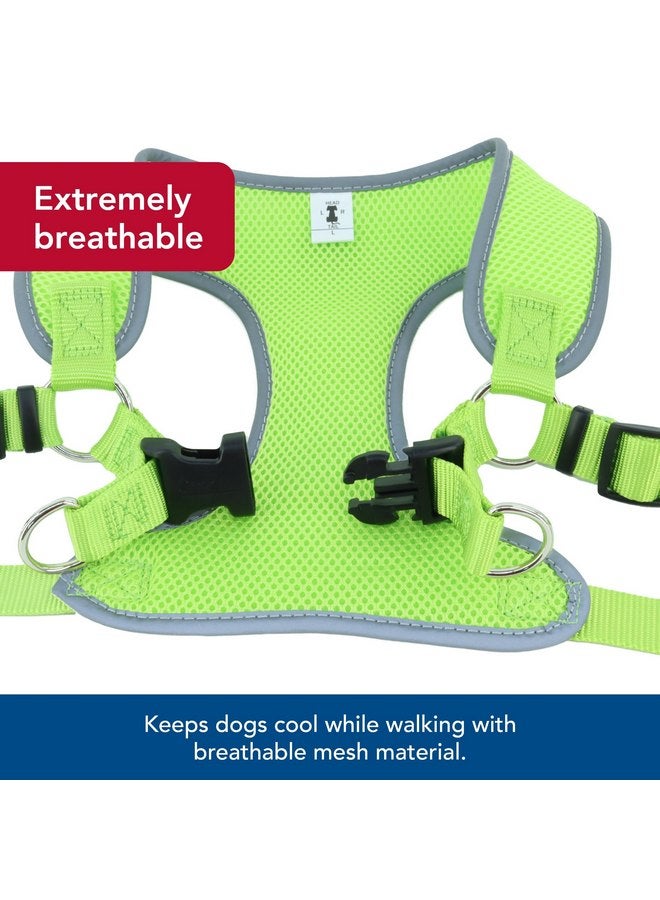 كوستال حزام كلب Coastal Pet Comfort Soft Reflective Wrap قابل للتعديل - حزام كلب لا يسحب للكلاب الصغيرة والكبيرة - لون أخضر ليموني - 5/8" x 16"-19" - Image 3