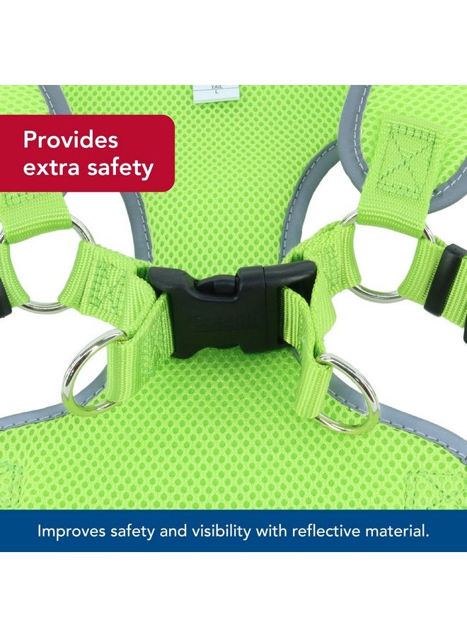 كوستال حزام كلب Coastal Pet Comfort Soft Reflective Wrap قابل للتعديل - حزام كلب لا يسحب للكلاب الصغيرة والكبيرة - لون أخضر ليموني - 5/8" x 16"-19" - Image 4