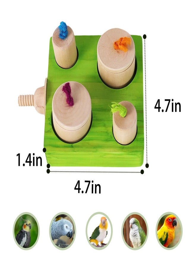 YOOSO WING Birdie Puzzle Feeder - Interactive Foraging Toy for Parrots, Parakeets, Cockatiels, Conures | Mental Enrichment & Stimulation Game to Prevent Boredom (Green) - Image 2