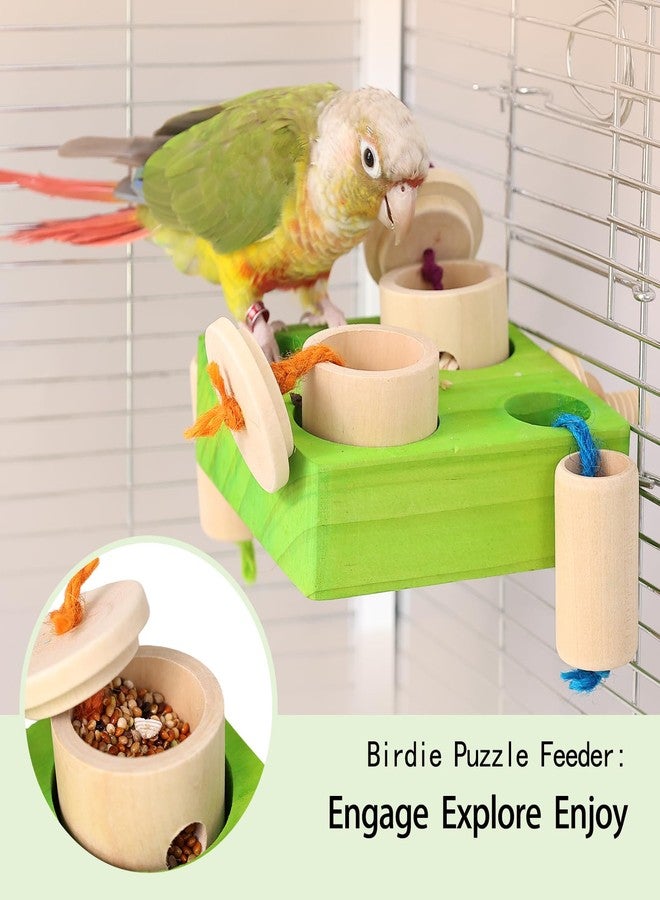 YOOSO WING Birdie Puzzle Feeder - Interactive Foraging Toy for Parrots, Parakeets, Cockatiels, Conures | Mental Enrichment & Stimulation Game to Prevent Boredom (Green) - Image 4