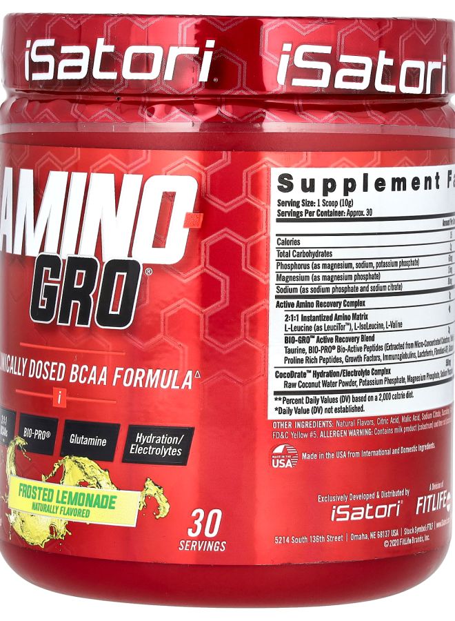 iSatori Amino-Gro Frosted Lemonade 10.6 oz (300 g) - Image 2