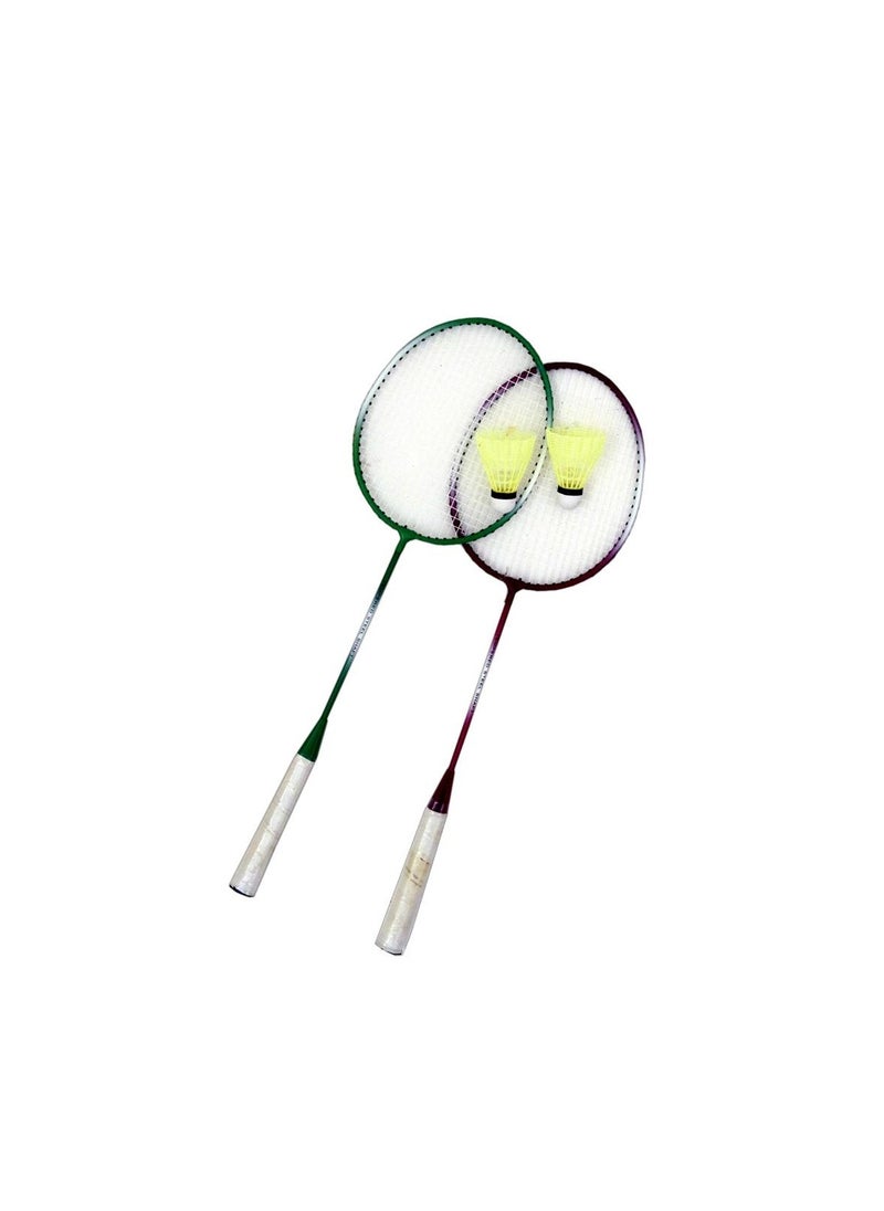 HM Sports SGS4101 Badminton Racket |Durable and Comfortable for Intense Matches - pzsku/Z788348D57E8154FC870CZ/45/_/1734082618/7b16b003-7365-486e-90c5-1172ba5e7a60