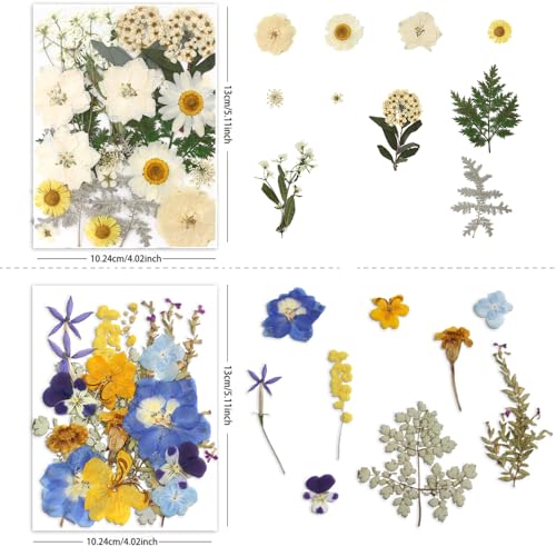 Buzidao Dried Pressed Flowers, 80Pcs Real Natural Pressed Flowers Bulk for Resin Nail Art Scrapbooking Candle Jewelry Making DIY Crafts Real Dried Pressed Flowers Resin Supplies Kit (Multi Color-2) - Image 3