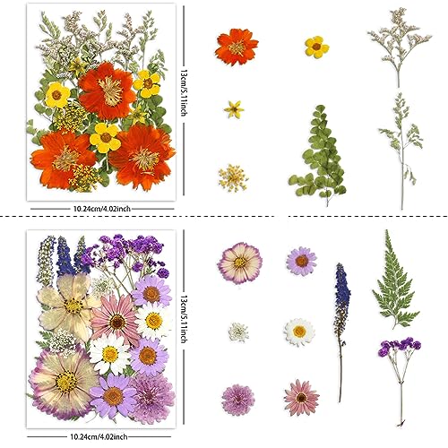 Buzidao Dried Pressed Flowers, 80Pcs Real Natural Pressed Flowers Bulk for Resin Nail Art Scrapbooking Candle Jewelry Making DIY Crafts Real Dried Pressed Flowers Resin Supplies Kit (Multi Color-2) - Image 2