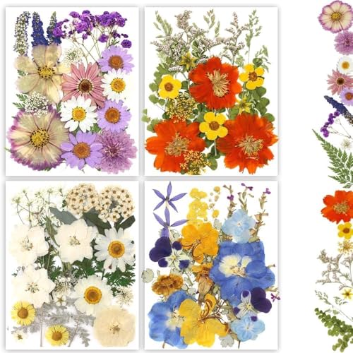 Buzidao Dried Pressed Flowers, 80Pcs Real Natural Pressed Flowers Bulk for Resin Nail Art Scrapbooking Candle Jewelry Making DIY Crafts Real Dried Pressed Flowers Resin Supplies Kit (Multi Color-2) - Image 1