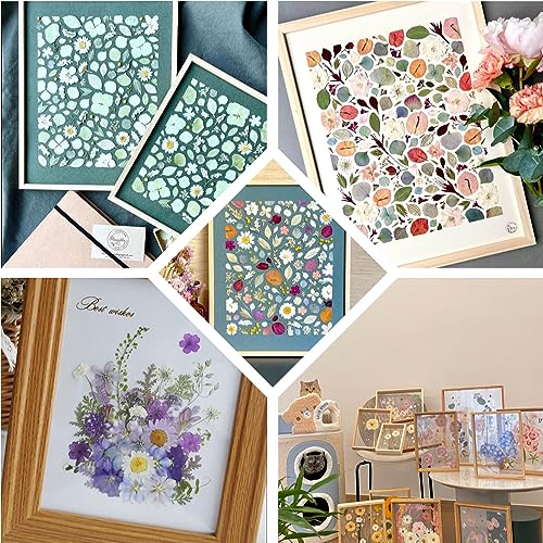 Buzidao Dried Pressed Flowers, 80Pcs Real Natural Pressed Flowers Bulk for Resin Nail Art Scrapbooking Candle Jewelry Making DIY Crafts Real Dried Pressed Flowers Resin Supplies Kit (Multi Color-2) - Image 5