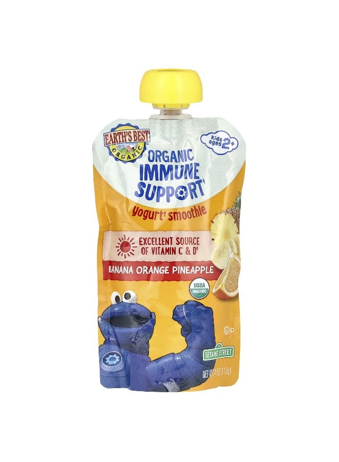 EARTHS BEST Earth's Best, Organic Immune Support Yogurt Smoothie, Ages 2+, Banana Orange Pineapple, 4 oz (113 g)  - Image 1