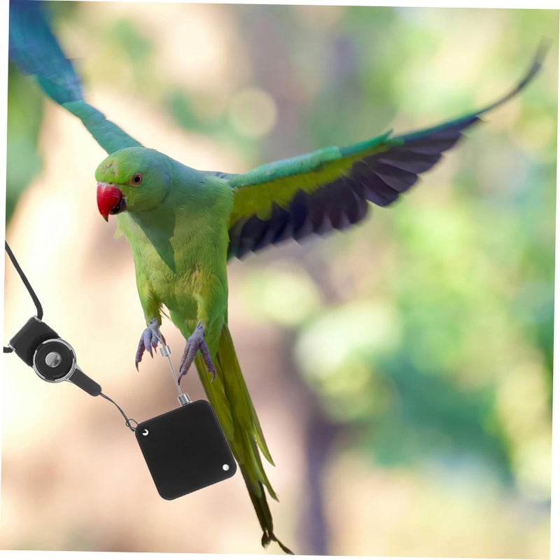 Adjustable Retractable Bird Leash for Parrots Cockatiels Conures Outdoor Use - Image 5