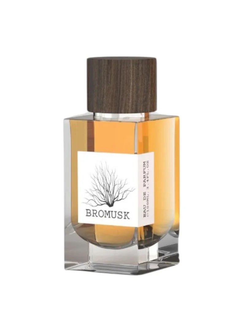 امبر برومسك او دي بيرفيوم للجنسين - 100 مللي - Image 3