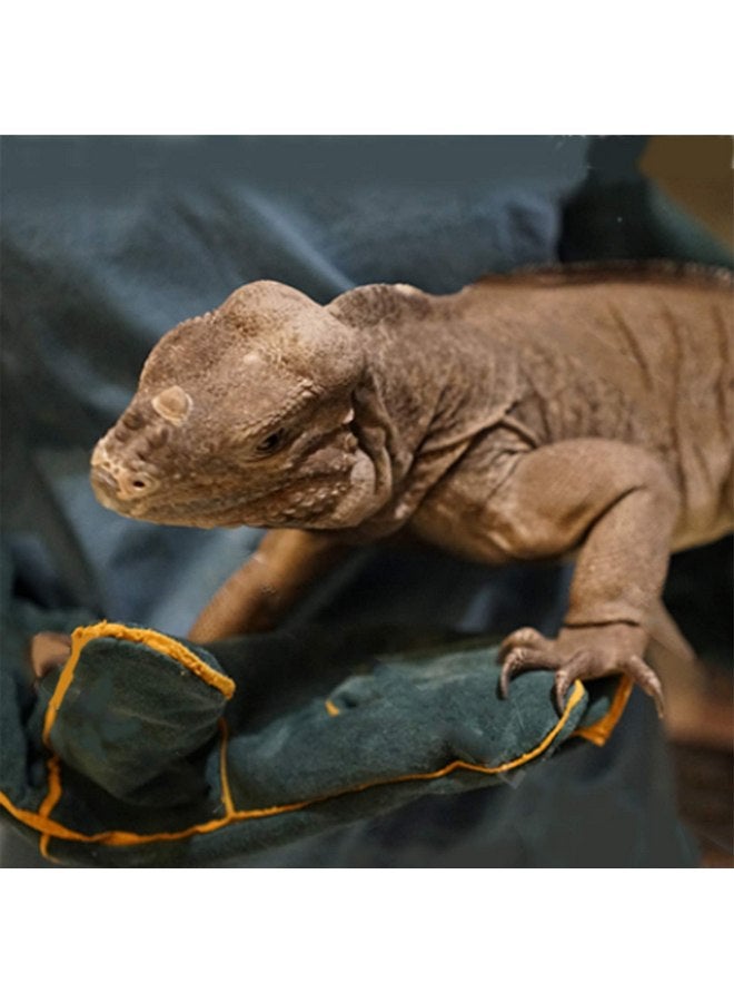 قفازات  للتعامل مع الحيوانات مضادة للعض مع خطاف مبطنة من الجلد المقوى للكلاب والقطط والطيور والصقر والحماية من الخدش للزواحف والسناجب والثعابين والسحالي والأفعى للشواء 23 بوصة - Image 4