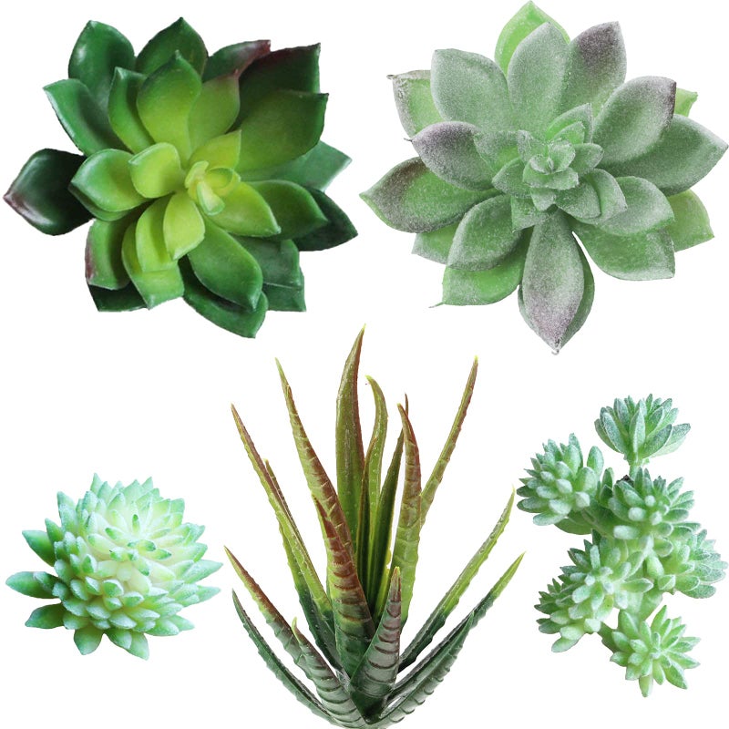 Supla 5 Pcs Assorted Artificial Succulents Plants Unpotted Small Green Cactus Echeveria Picks Fake Succulents Bulk for Succulent Garden Centerpiece Wreath Floral Arrangement Indoor Outdoor Home D?cor