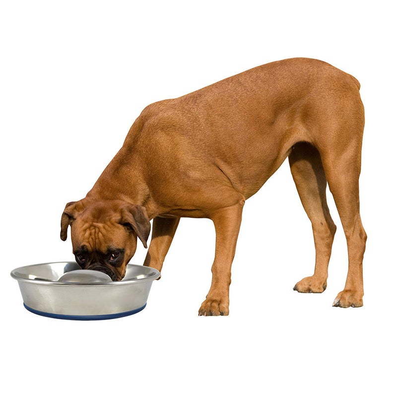 Our Pets OurPet's Durapet Slow Feed Premium Stainless Steel Dog Bowl, Silver, Large (2040010302) - Image 2