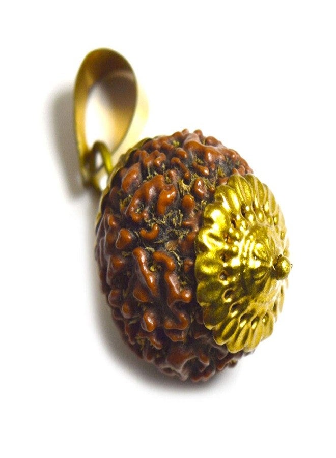 CaratYogi Original Nepali Eight Mukhi 8 Face Rudraksha Pendant Round Prayer Rudraksh Gold Plated Locket Chakra Healing - Image 1