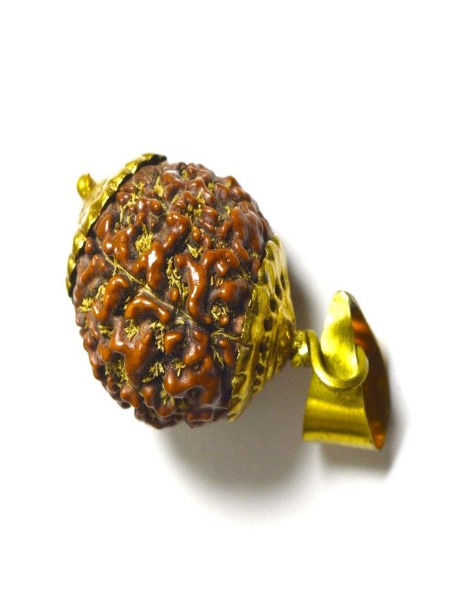 CaratYogi Original Nepali Eight Mukhi 8 Face Rudraksha Pendant Round Prayer Rudraksh Gold Plated Locket Chakra Healing - Image 3