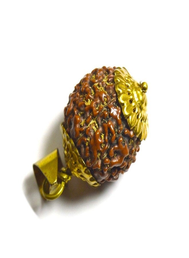 CaratYogi Original Nepali Eight Mukhi 8 Face Rudraksha Pendant Round Prayer Rudraksh Gold Plated Locket Chakra Healing - Image 2