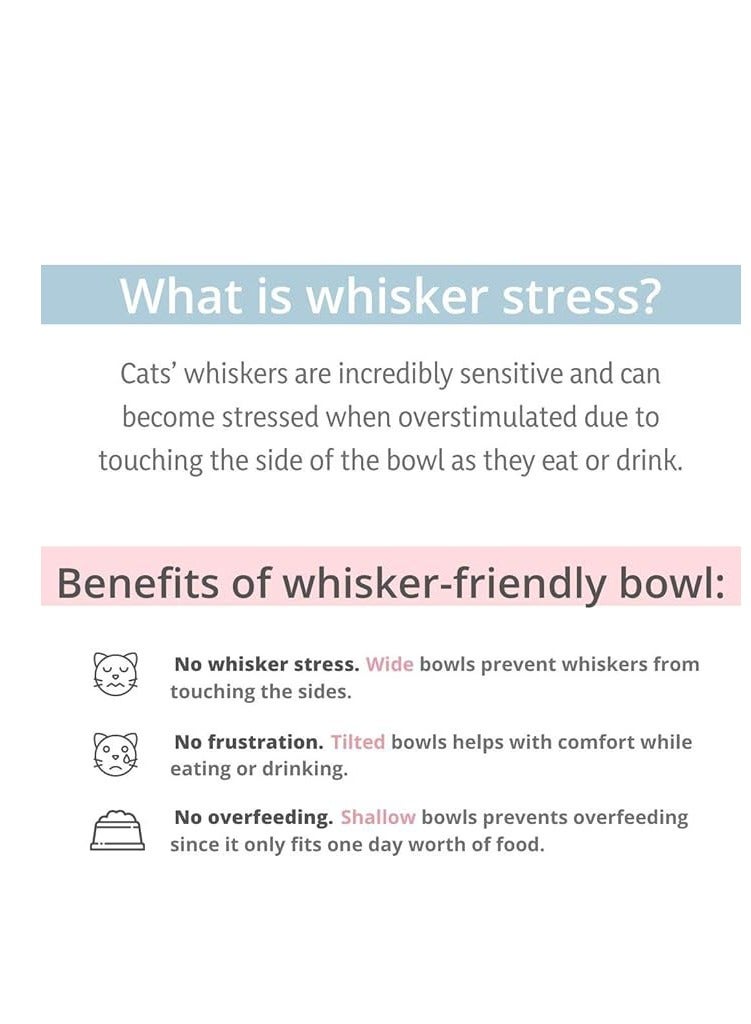 A.M Dining in Cat Head Ceramic Cat Bowl, Mini Kitten Bowl - Image 5