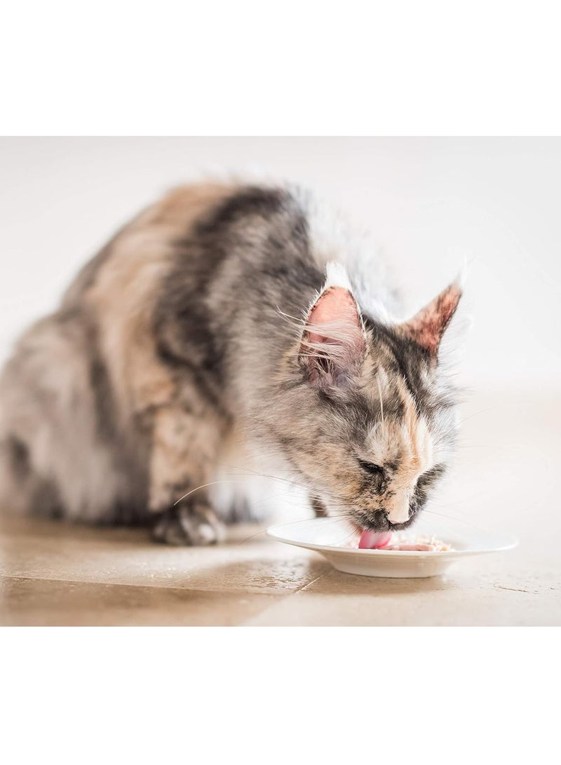 شيسر طعام رطب للقطط البالغة، 24 قطعة من شرائح الدجاج مع الأرز، 140 جرام - Image 3