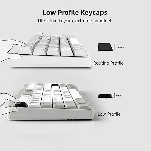 Womier Low Profile Keycaps - Shine Through Keycaps 60 65 75 100 Percent, Keyboard Key caps PBT Full Size for Cherry Gateron MX Switches Mechanical Keyboard, Grey/White - Image 2