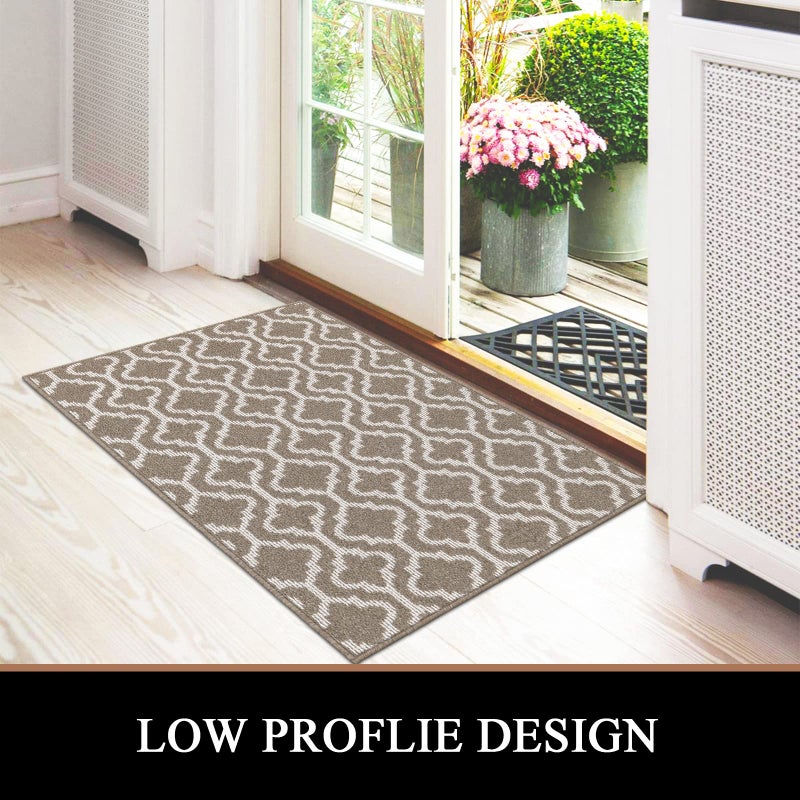 HEBE Indoor Door Mat 32"x48" Non Slip Front Door Welcome Mats Washable Shoe Mats Dirt Trapper for Entryway Low Profile Kitchen Carpet for Entrance Hallways Entrance Mat for Dogs - Image 4