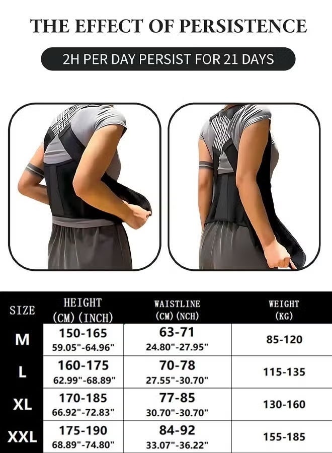 Back Brace and Posture Corrector Back Straightener Belt Back Support Helps Hunchback Correction and Relieve Shoulder Neck Back Pain(L) - Image 3