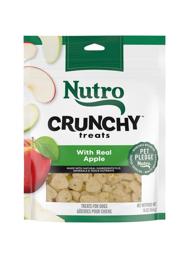 نوترو مكافآت الكلاب المقرمشة من نوترو بنكهة التفاح الحقيقي، كيس ١٦ أونصة - Image 1