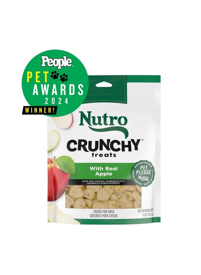 نوترو مكافآت الكلاب المقرمشة من نوترو بنكهة التفاح الحقيقي، كيس ١٦ أونصة - Image 2