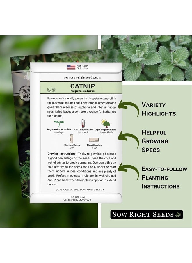 Sow Right Seeds - Catnip Seed for Planting - Popular Herb for Happy Cats - Non-GMO Heirloom Packet with Instructions to Plant and Grow - A Gift for The Cat Lover - Perennial Herb Indoors (1) - Image 1