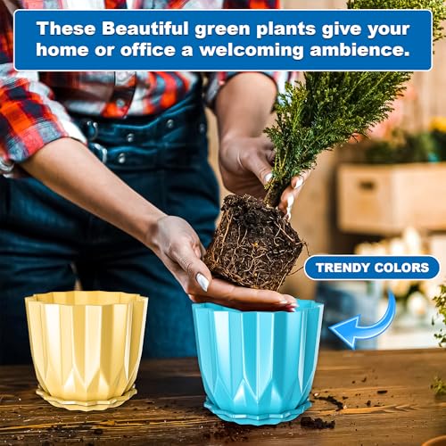 Eightiz Crystal Look Plastic Flower Pots with Tray for Home & Decoration Planters, Terrace, Garden Plant Container Set (Pack of 5, Plastic) - Image 4