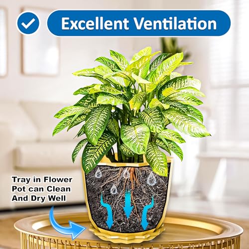 Eightiz Crystal Look Plastic Flower Pots with Tray for Home & Decoration Planters, Terrace, Garden Plant Container Set (Pack of 5, Plastic) - Image 5