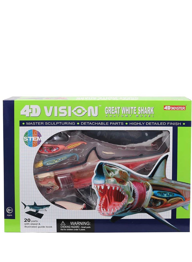 تشابمي تشريح القرش الأبيض الكبير رباعي الأبعاد - Image 1