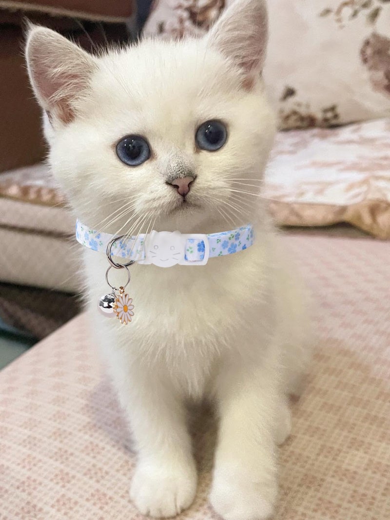 DALOO 10PC Floral Cat Collar Set with Bells - Breakaway Safety for Kittens and Small Cats (#1) - Image 2