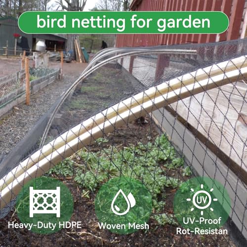 XiHaKey Bird Netting for Garden 10x10 Ft 12 Inch Mesh Heavy Duty Garden Netting for Plants Fruit Trees Blueberries UV Resistant Outdoor Protection Against Birds Squirrels Deer Poultry - Image 3