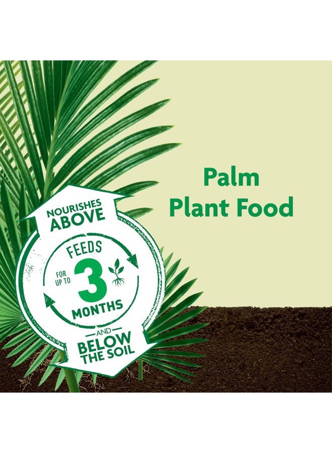 Miracle-Gro Shake 'N Feed Palm Plant Food, 4.5 lb., Feeds up to 3 Months - Image 2