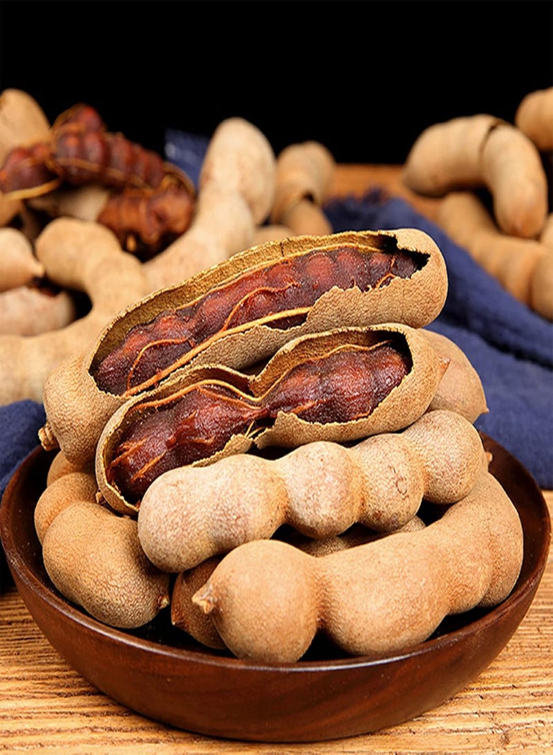 GGOOT 10Pcs/Bag Tamarind Seeds,Premium Sweet Prolific Excellent Producing Fruit Seeds for Home Planting Garden Yard Outdoor 1 Seed - Image 1