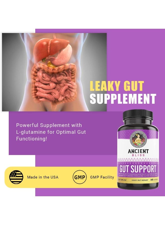 Ancient Bliss Leaky Gut Supplement, L Glutamine Capsules For Gut Support With Blessed Thistle And Hydrangea Root, Vegan And Non-Gmo, 60 Capsules - Image 2